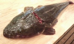 201106301129000.jpg