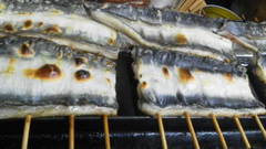 20110711123844.jpg